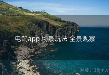 电鸽app 场景玩法 全景观察