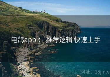 电鸽app ： 推荐逻辑 快速上手
