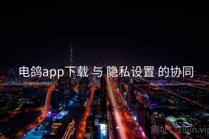 电鸽app下载 与 隐私设置 的协同