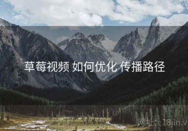 草莓视频 如何优化 传播路径