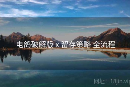 电鸽破解版 x 留存策略 全流程