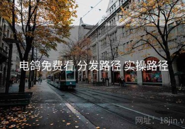 电鸽免费看 分发路径 实操路径