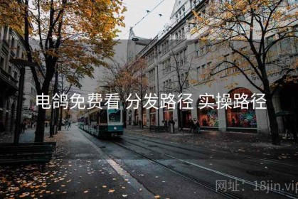 电鸽免费看 分发路径 实操路径