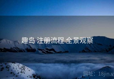 趣岛 注册流程 全景观察
