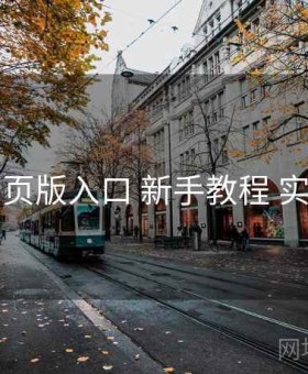 电鸽网页版入口 新手教程 实操路径