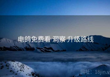 电鸽免费看 洞察 升级路线