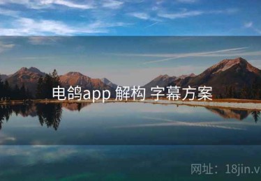电鸽app 解构 字幕方案