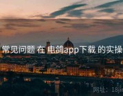 常见问题 在 电鸽app下载 的实操