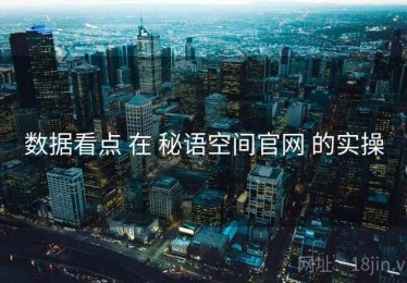 数据看点 在 秘语空间官网 的实操