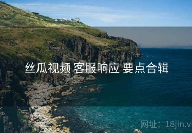 丝瓜视频 客服响应 要点合辑