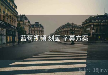 蓝莓视频 刻画 字幕方案