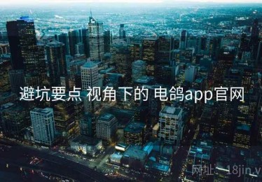 避坑要点 视角下的 电鸽app官网