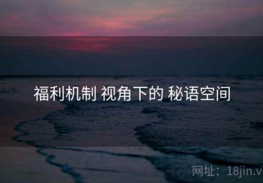 福利机制 视角下的 秘语空间