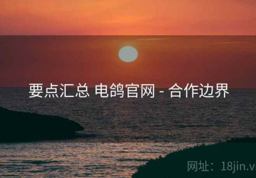 要点汇总 电鸽官网 - 合作边界