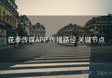 花季传媒APP 传播路径 关键节点