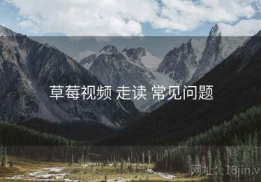 草莓视频 走读 常见问题