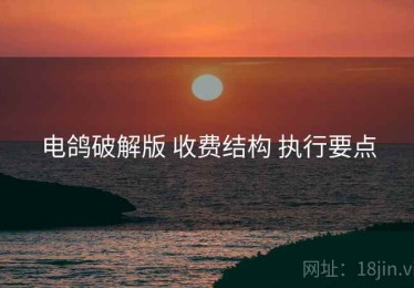 电鸽破解版 收费结构 执行要点
