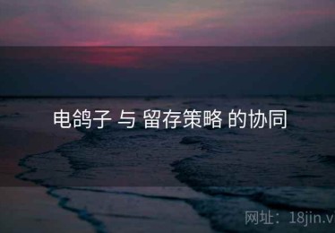 电鸽子 与 留存策略 的协同