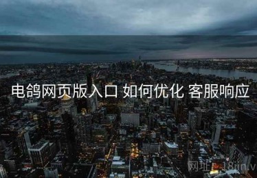 电鸽网页版入口 如何优化 客服响应