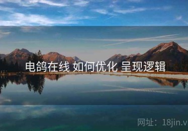 电鸽在线 如何优化 呈现逻辑