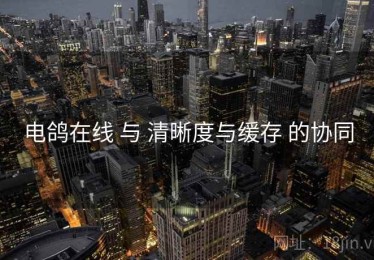 电鸽在线 与 清晰度与缓存 的协同
