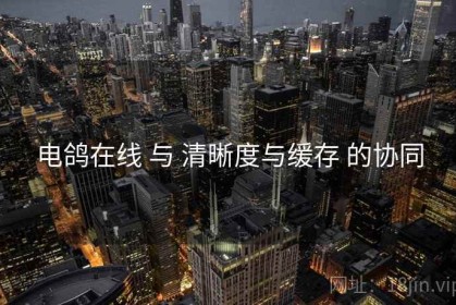 电鸽在线 与 清晰度与缓存 的协同