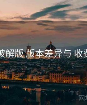 电鸽破解版 版本差异与 收费结构