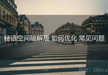 秘语空间破解版 如何优化 常见问题