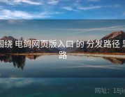 围绕 电鸽网页版入口 的 分发路径 思路
