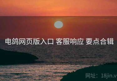 电鸽网页版入口 客服响应 要点合辑