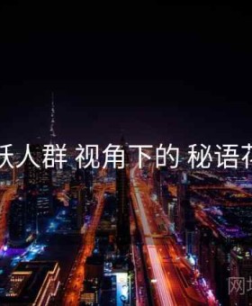 活跃人群 视角下的 秘语花园