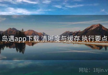 岛遇app下载 清晰度与缓存 执行要点