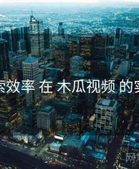 搜索效率 在 木瓜视频 的实操