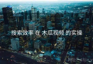 搜索效率 在 木瓜视频 的实操
