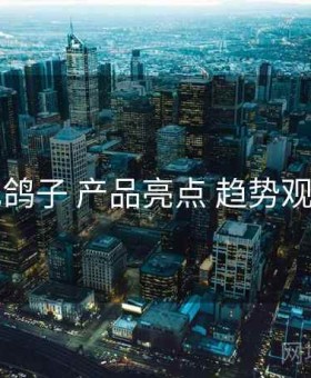 电鸽子 产品亮点 趋势观察