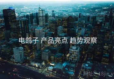 电鸽子 产品亮点 趋势观察