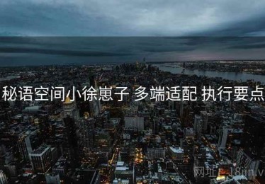 秘语空间小徐崽子 多端适配 执行要点
