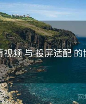 蓝莓视频 与 投屏适配 的协同