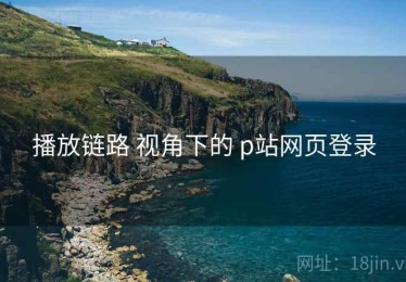 播放链路 视角下的 p站网页登录