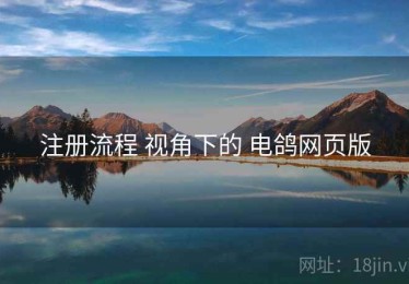 注册流程 视角下的 电鸽网页版