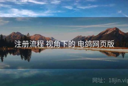 注册流程 视角下的 电鸽网页版