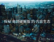 探秘 电鸽破解版 的 内容生态