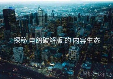 探秘 电鸽破解版 的 内容生态