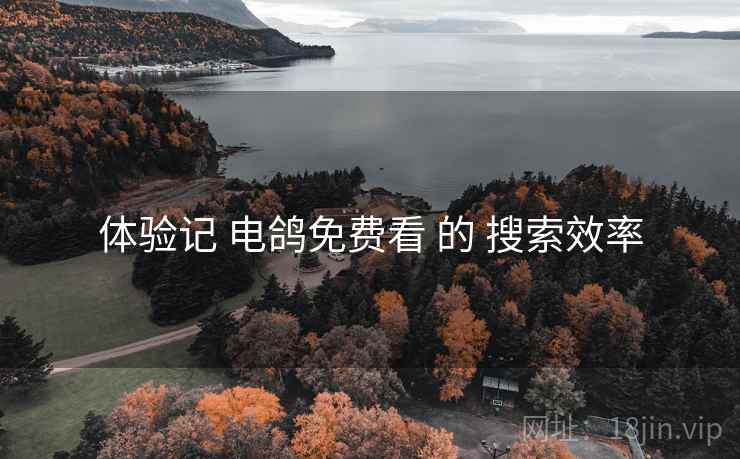 体验记 电鸽免费看 的 搜索效率