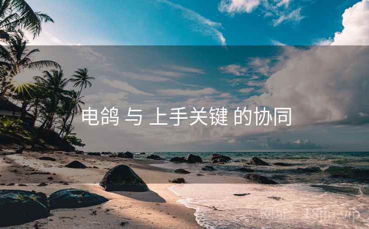 电鸽 与 上手关键 的协同