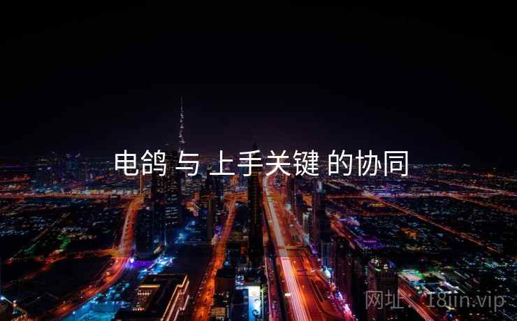 电鸽 与 上手关键 的协同