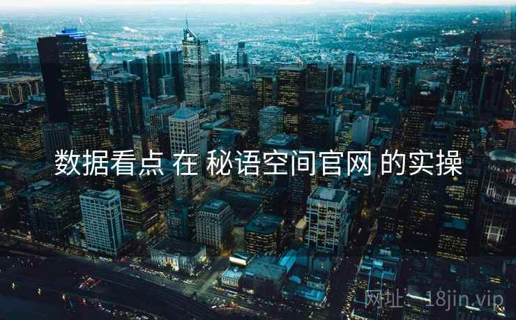 数据看点 在 秘语空间官网 的实操