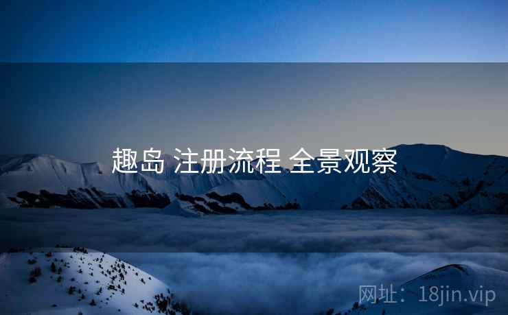 趣岛 注册流程 全景观察