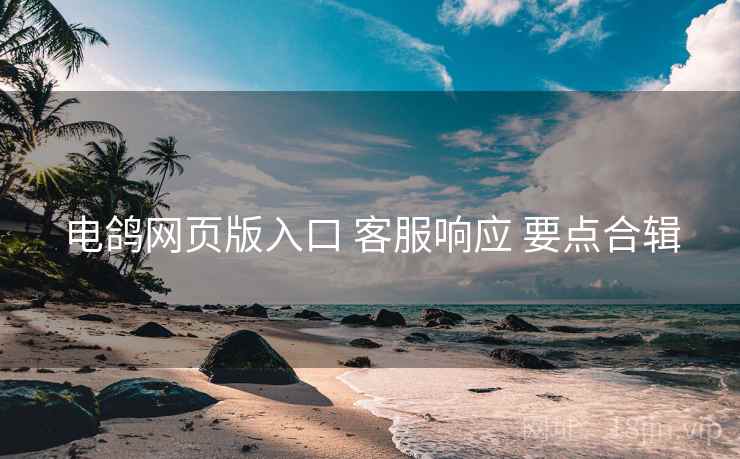 电鸽网页版入口 客服响应 要点合辑