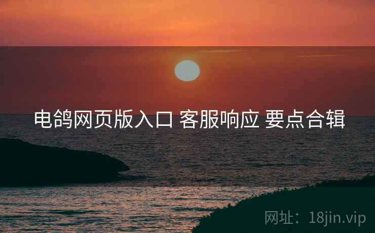 电鸽网页版入口 客服响应 要点合辑